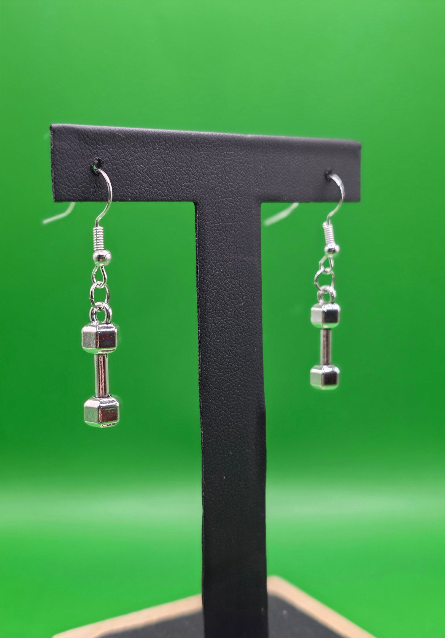 Stainless Steel Hook Earrings